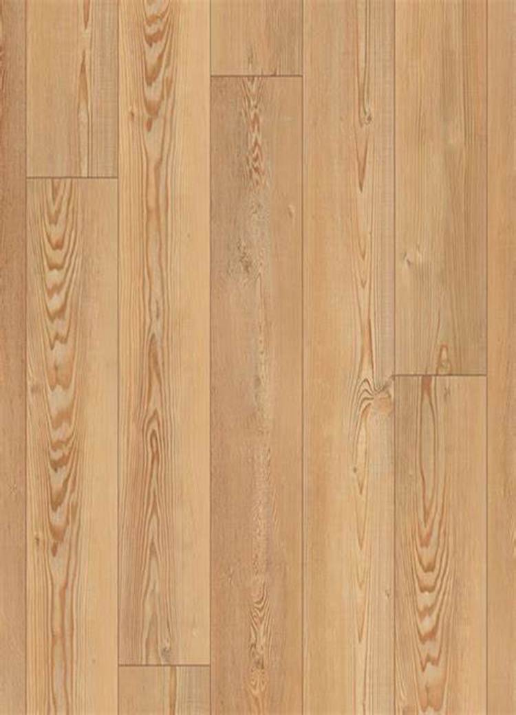 Berlin Pine